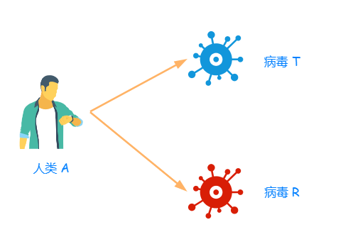 人类 A 感染了两种病毒